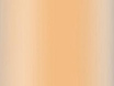 Waterproof Foundation And Concealer 30ml